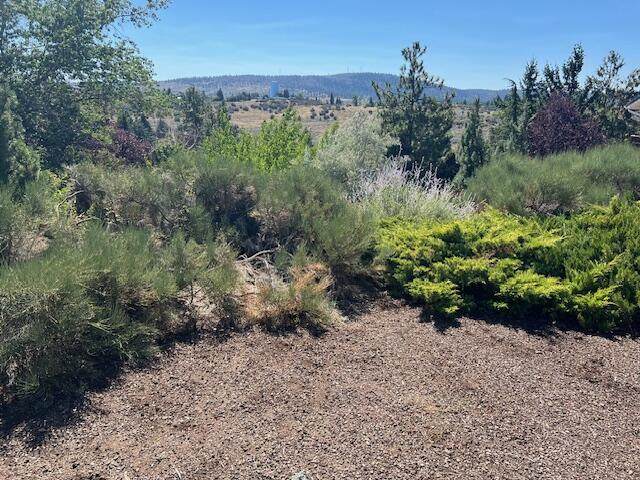 1600 Ridgecrest Drive - Photo 1