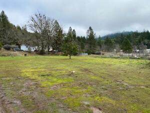 185 Browntown Road - Photo 1