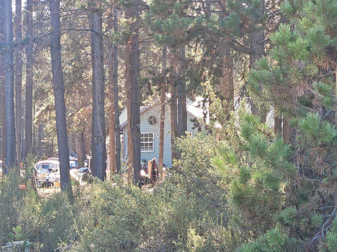 436 Bonner Lane - Photo 1