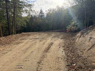  Maupin Lane - Photo 1