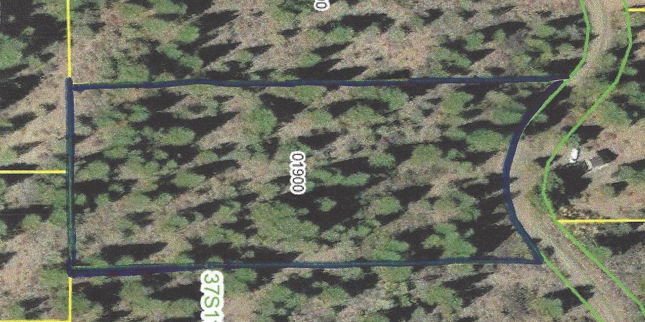 0 Polar Bear Lane - Photo 1