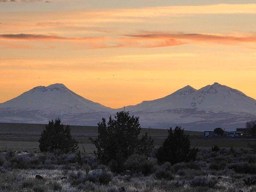 6499 Daly Lane - Photo 1