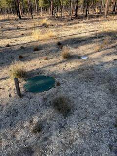  Pinewood Place - Photo 1