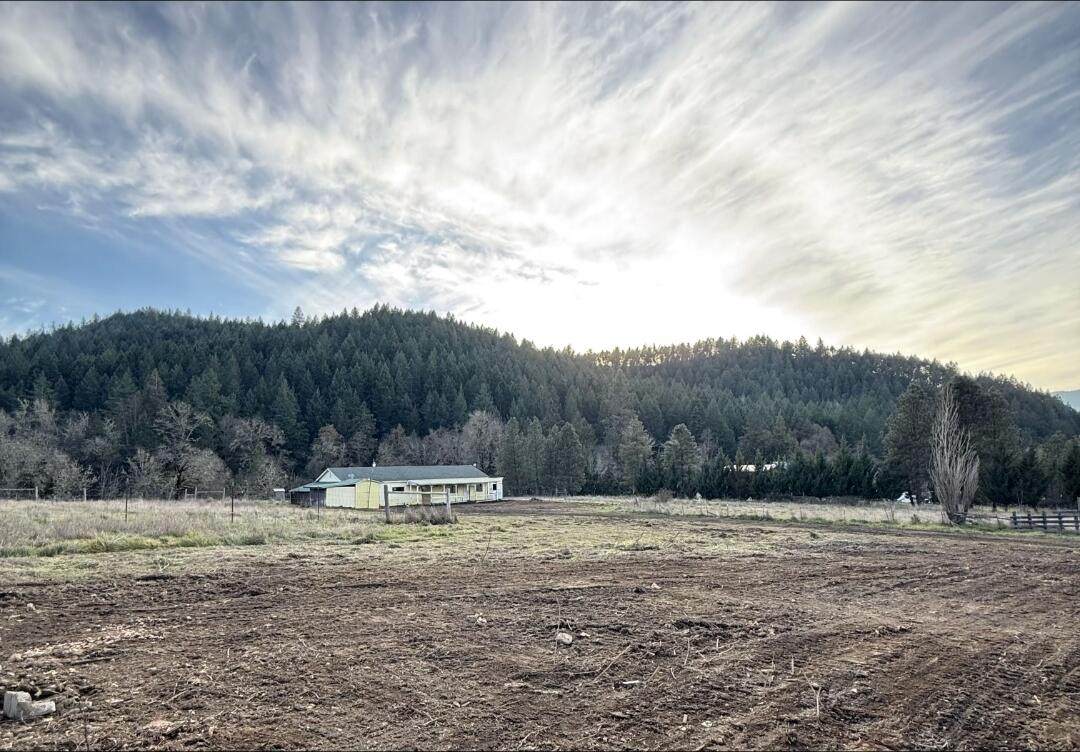 1065 Panther Gulch Road - Photo 1