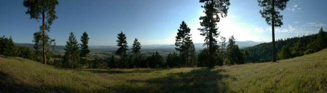 3579 Stage Road - Photo 1