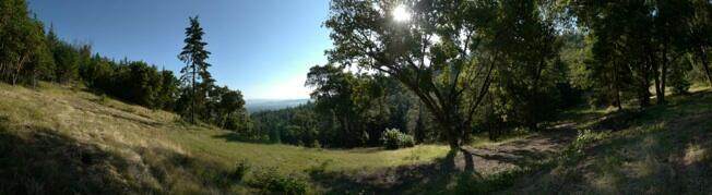 3591 Stage Road - Photo 1