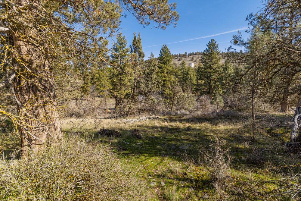 1069 Water Birch Court - Photo 1