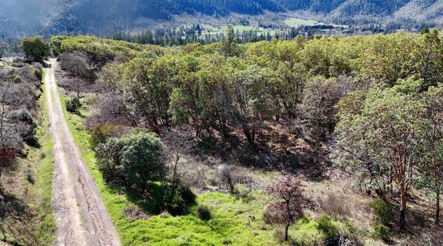  Applegate Road - Photo 1