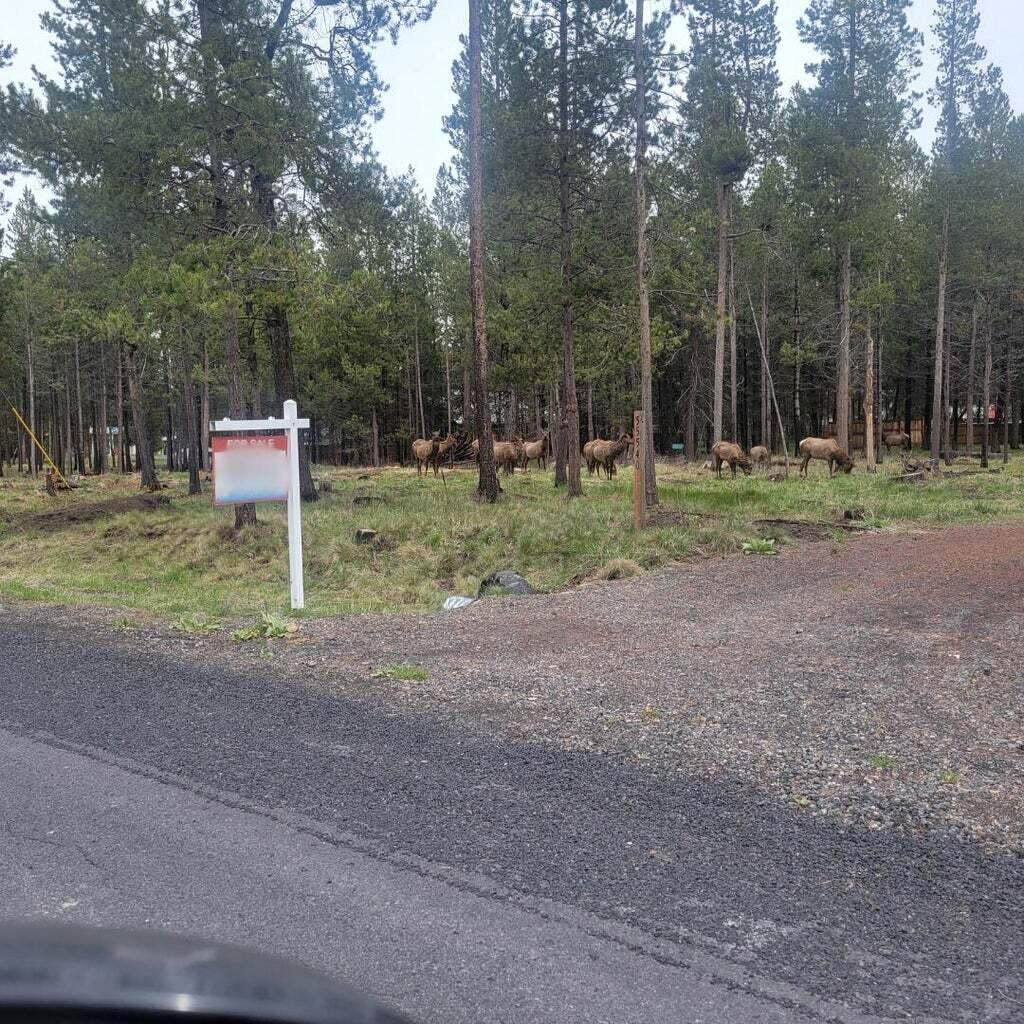 55540 Big River Drive - Photo 1