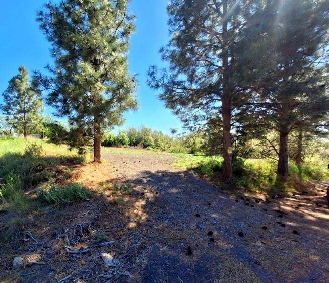  Shoreview Drive - Photo 1