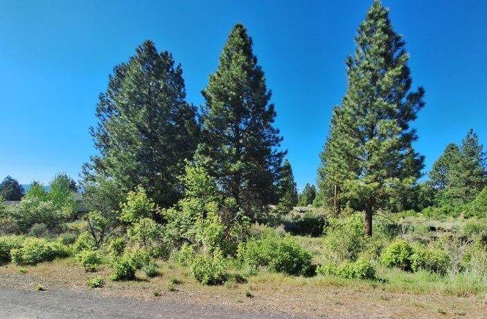  Shoreview Drive - Photo 1