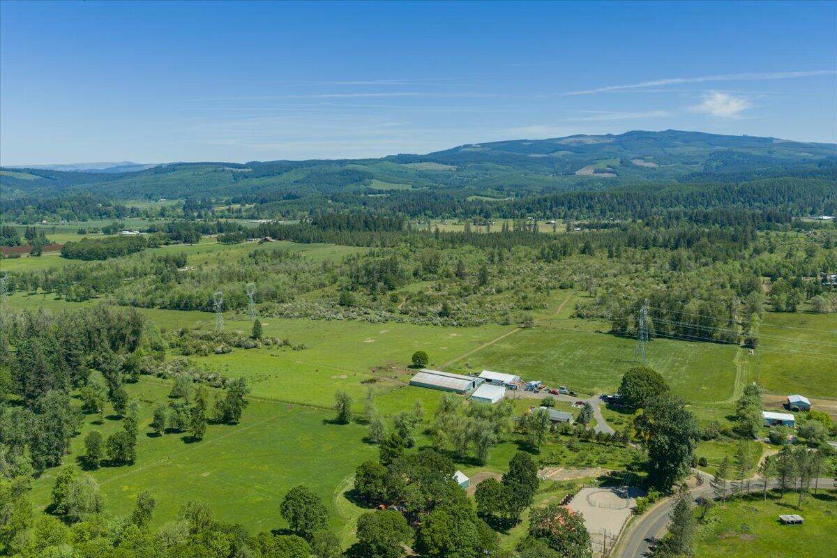 35377 Ede Road - Photo 1