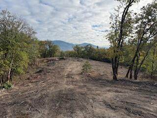  Merlin Sanitarium Road - Photo 1
