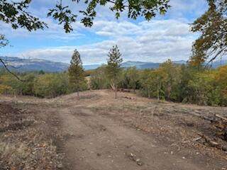  Merlin Sanitarium Road - Photo 1