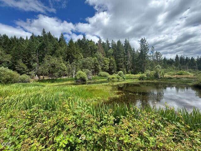 5345 Westside Road - Photo 1