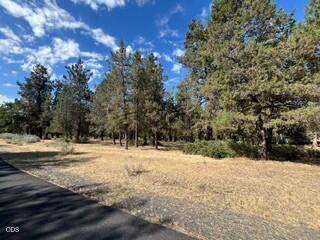 0 Osprey Lane - Photo 1