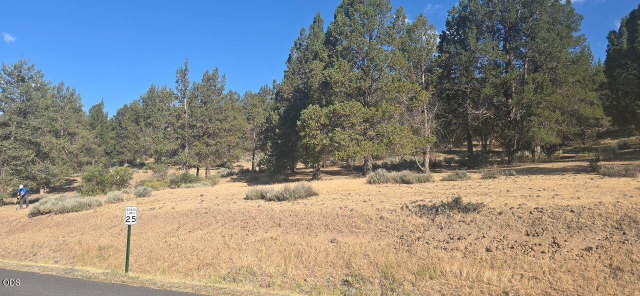 0 Parula Drive - Photo 1