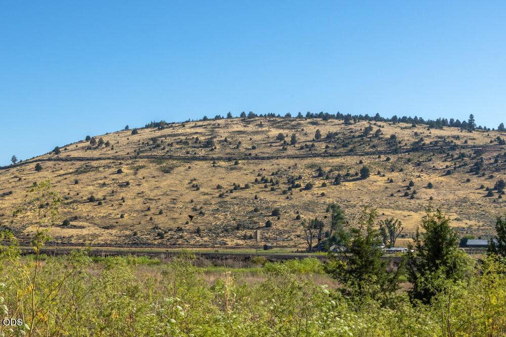  Hwy 97 - Photo 1