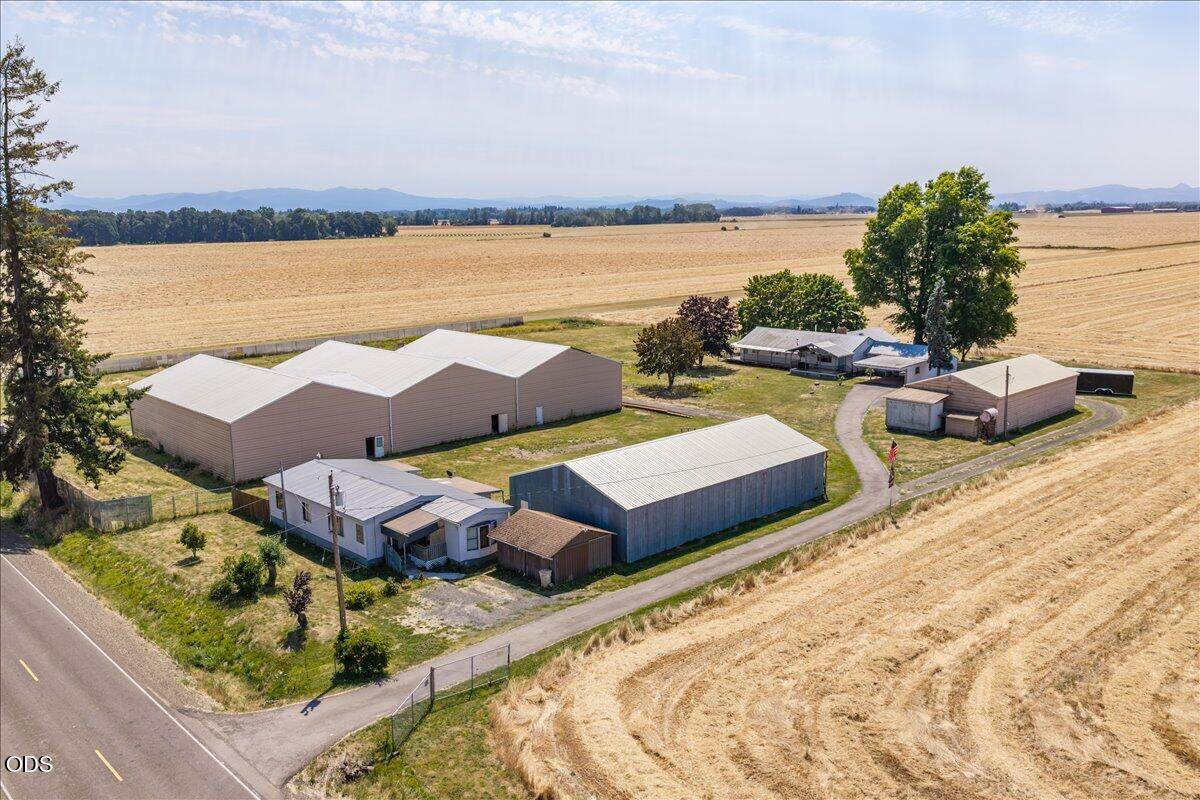 34976 Kamph Drive - Photo 1