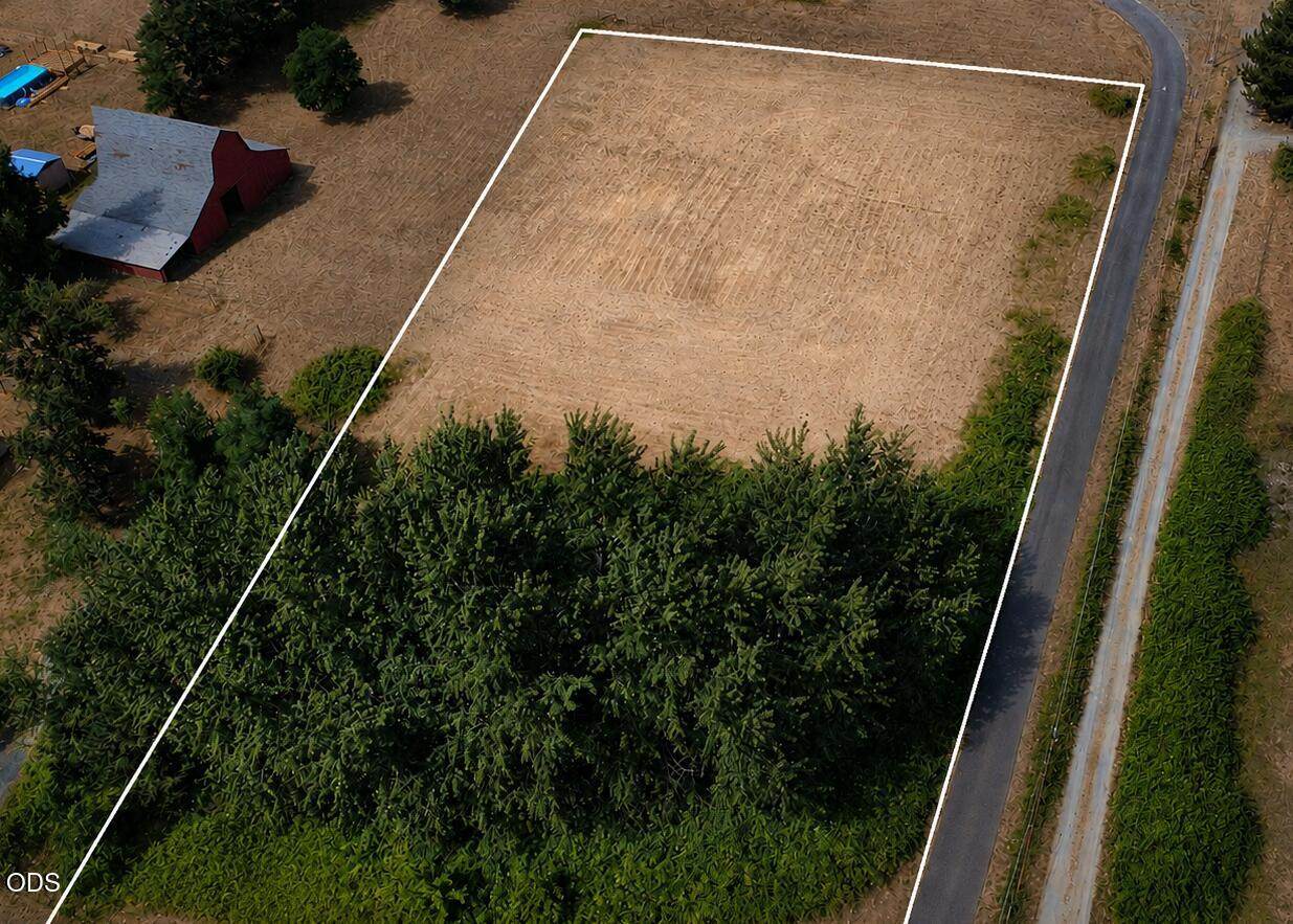  Woodland Park Road - Photo 1