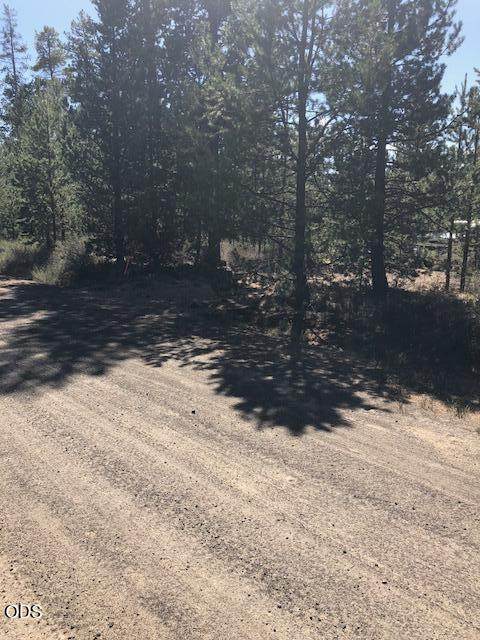 55165 Tamarack Road - Photo 1