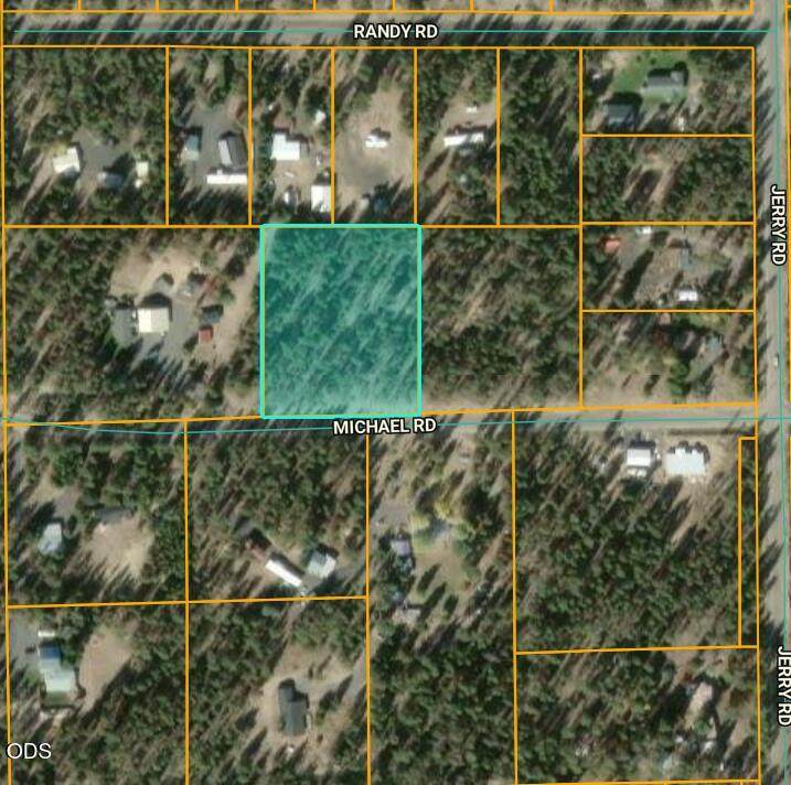 6101 Michael Road - Photo 1