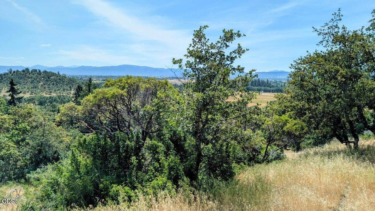 814 Mesa Drive - Photo 1