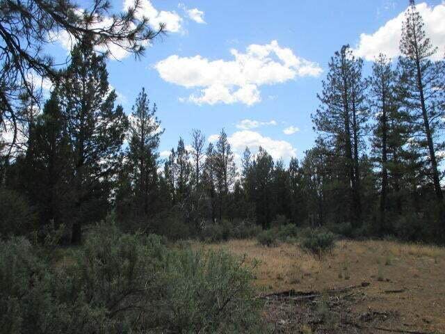  Tepee Lane - Photo 1