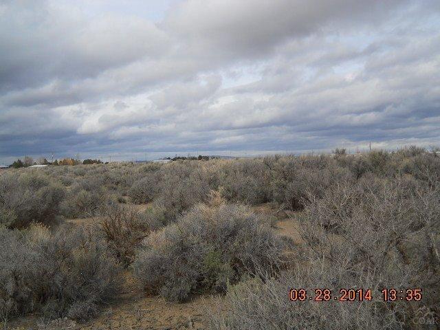 31 Thorn Street - Photo 1