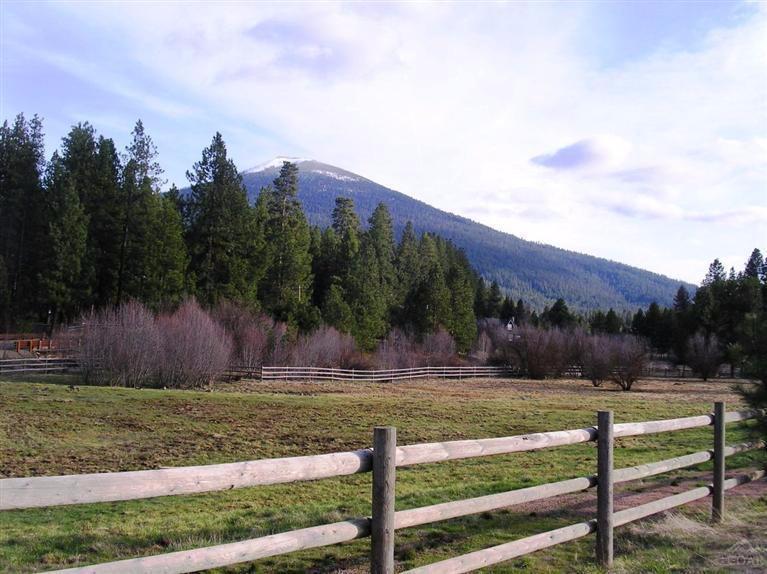 26213 Pine Lodge Road - Photo 1