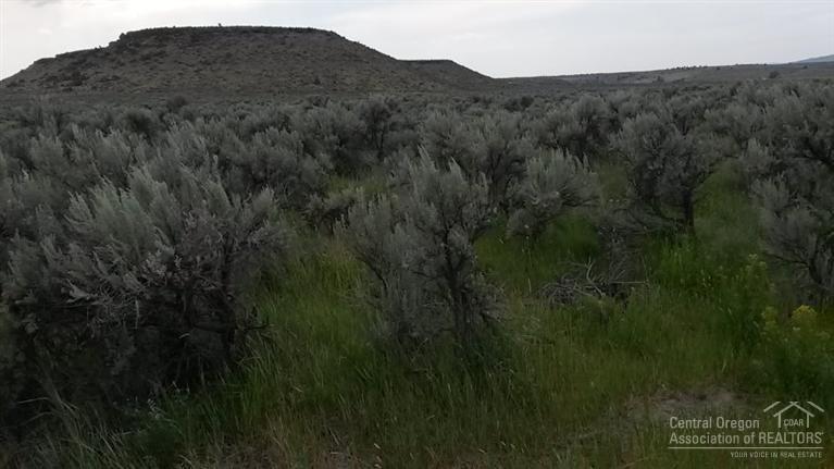 Paulina, OR 97751 :: Birtola Garmyn High Desert Realty