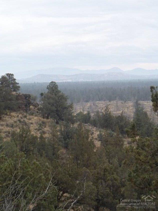 11295 NW Dove Road, Terrebonne, OR 97760 (MLS #201510529) :: Birtola Garmyn High Desert Realty