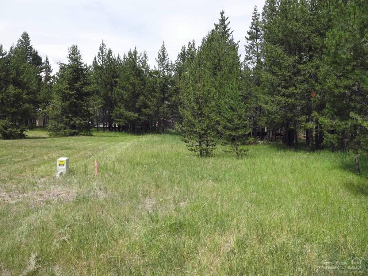 16758 Pony Express Way - Photo 1