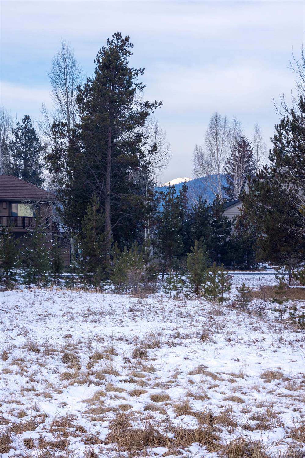 56910 River Road - Photo 1
