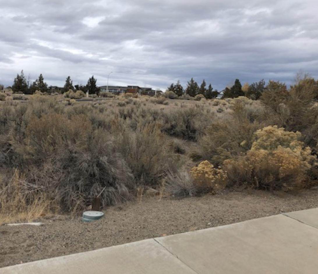 1074 Balsamroot Lane - Photo 1
