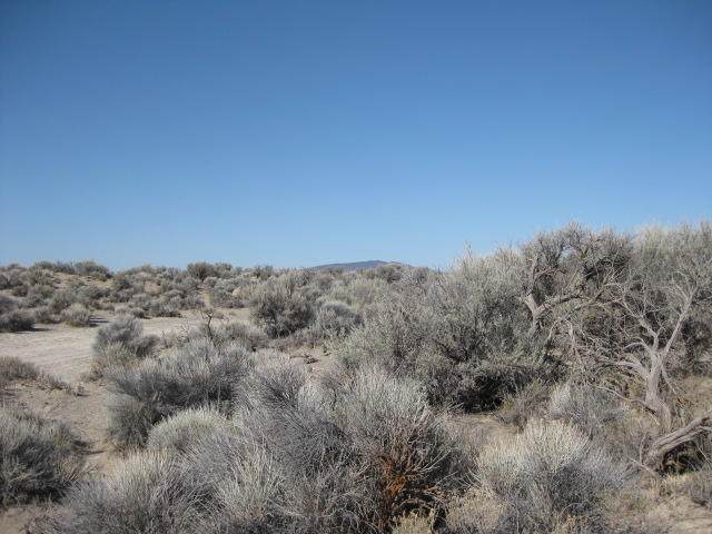 TL 100 No Name (26S16e33-A0-00100) Road - Photo 1