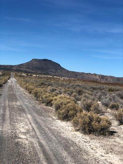2200-TL Off Oil Dri Road - Photo 1