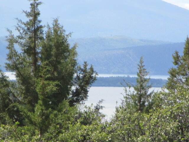 Lot 17 Wilderness Court - Photo 1