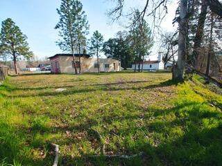8666 Evans Creek Road - Photo 1