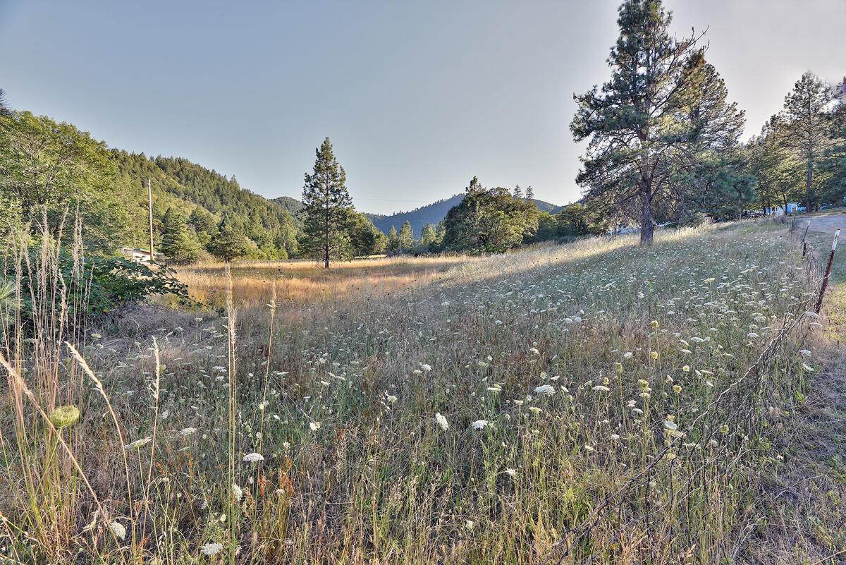 520 Schiefflin Gulch Road - Photo 1