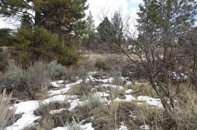 B9 lot 18 Shoreview Drive - Photo 1