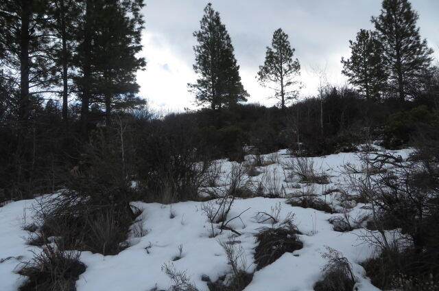 B 11 L 4 Forest View Drive - Photo 1