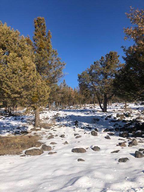 Lot 815 Coopers Hawk Road - Photo 1