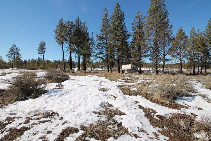 Lot 32 Sprague River Road - Photo 1