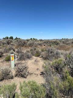 0 Bark (Apn: 5848) Loop - Photo 1