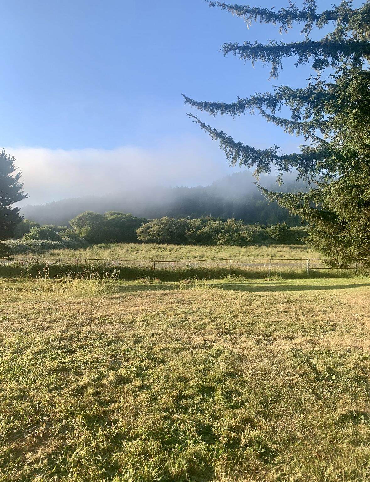 34944 Ophir Road - Photo 1