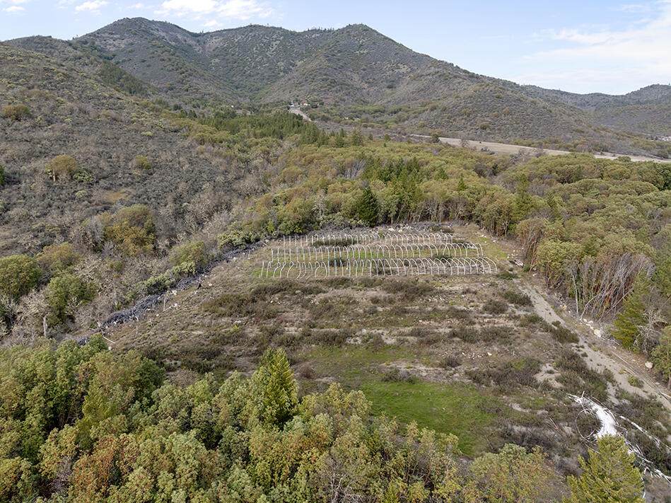 18101 Applegate Road - Photo 1