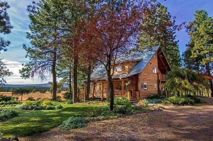 11010 Yonna Loop Drive - Photo 1