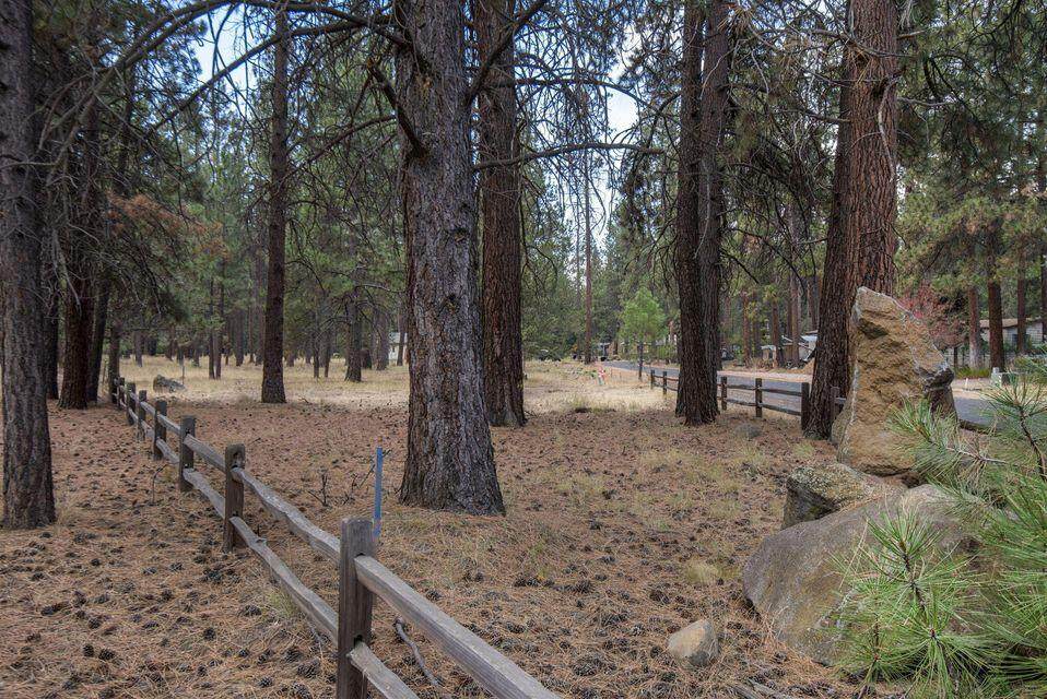 157 Black Crater Avenue - Photo 1