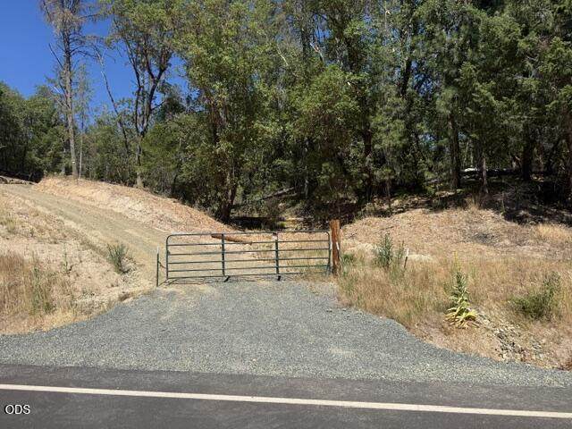  Merlin Sanitarium Road - Photo 1